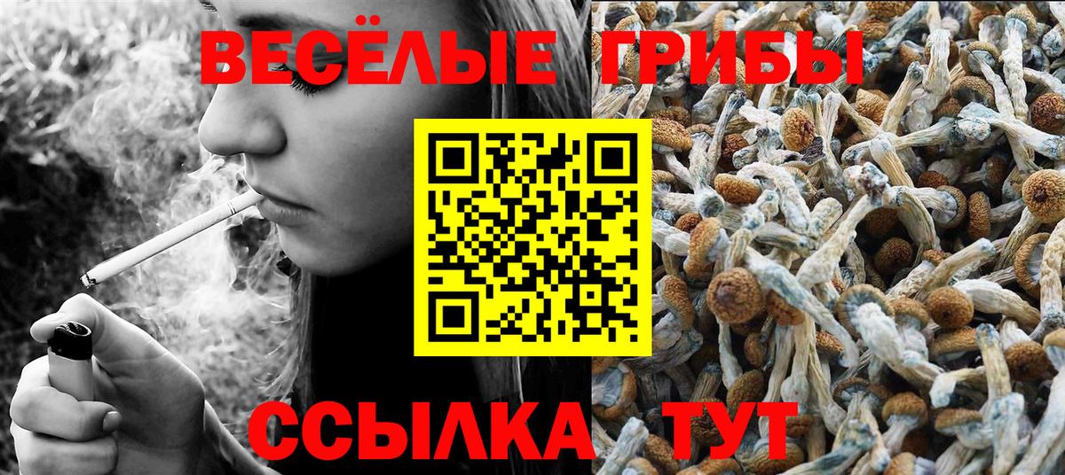 Киров  Галлюциногенные грибы Magic Shrooms  Вход с VPN 
