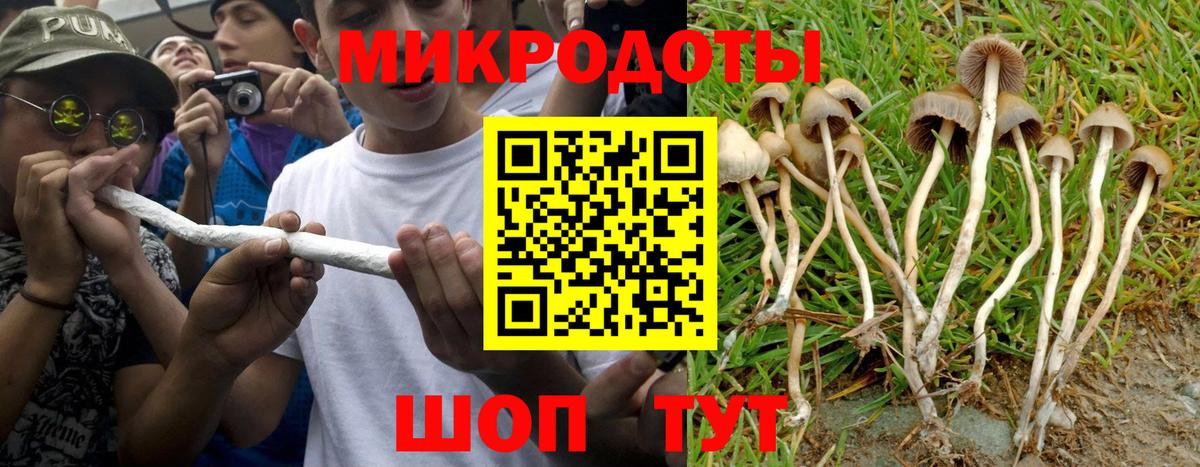 Псилоцибиновые грибы прущие грибы Киров